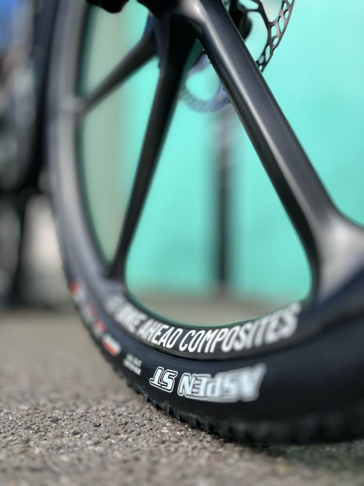 Bike Ahead The Frame ST LTD